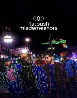 Flatbush Misdemeanors Season  1 online