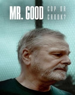 Mr. Good: Cop or Crook?