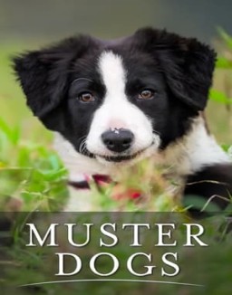 Muster Dogs Season  1 online