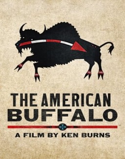 The American Buffalo online for free