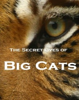 The Secret Lives Of Big Cats